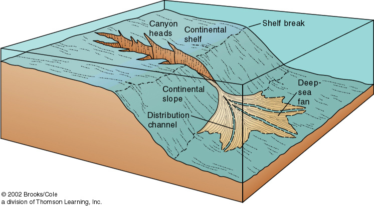 Topography Of Earth s Ocean Basin